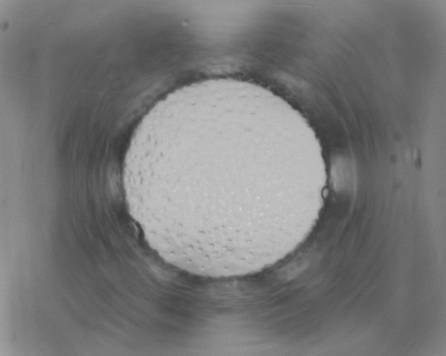 X0000076251444200610261928