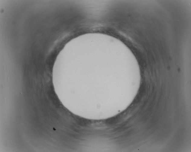 X0000076251447200610261928