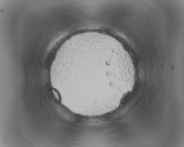 X0000076251448200610261928