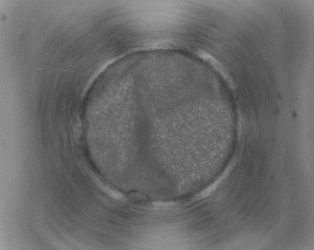 X0000076251449200610261928