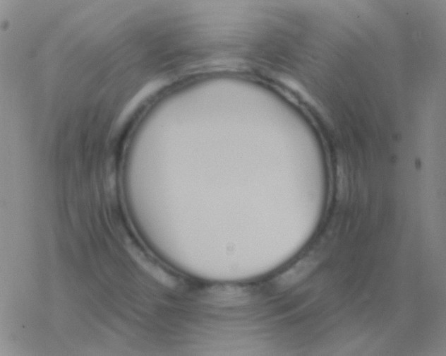 X0000076251450200610261928