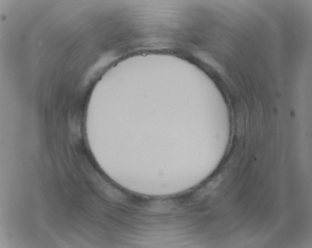 X0000076251451200610261928