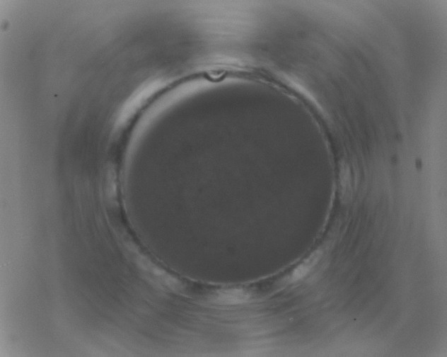 X0000076251455200610261928