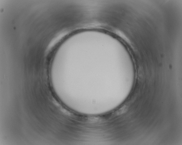 X0000076251456200610261928