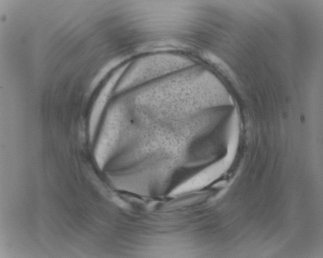 X0000076251457200610261928