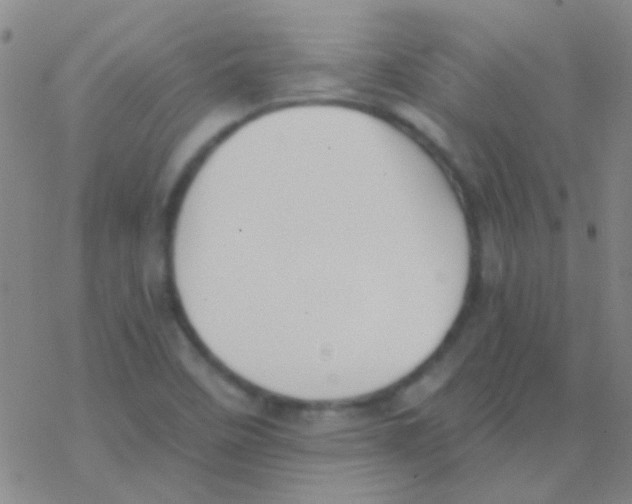 X0000076251458200610261928