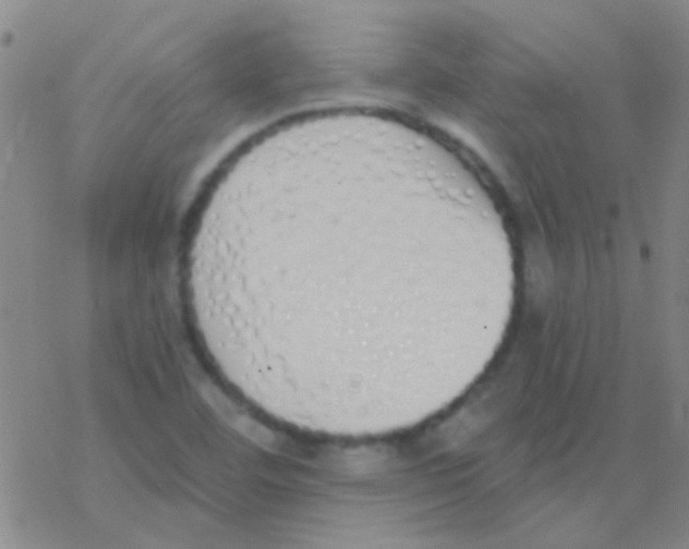 X0000076251460200610261928