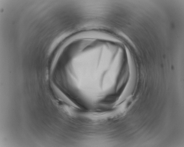 X0000076251461200610261928