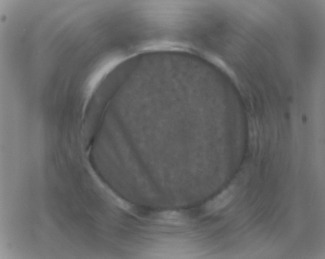 X0000076251463200610261928