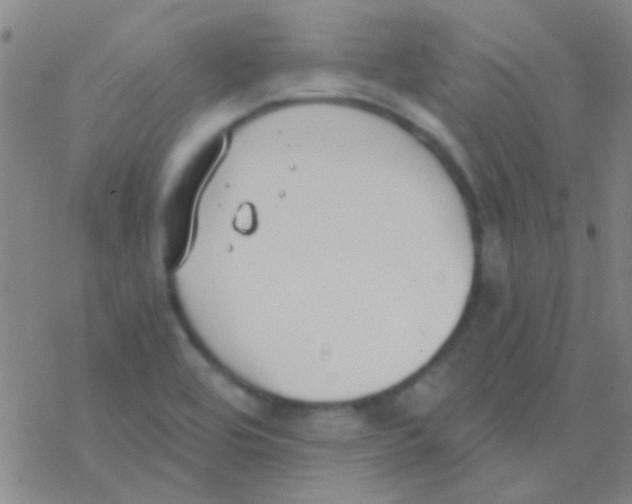 X0000076251464200610261928