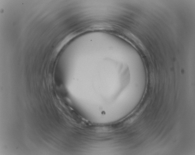 X0000076251465200610261928