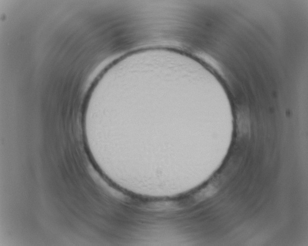 X0000076251468200610261928