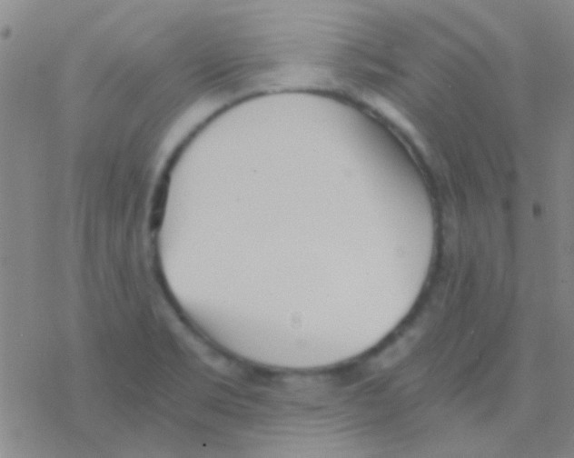 X0000076251469200610261928