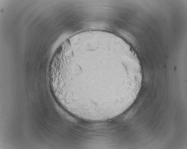 X0000076251471200610261928