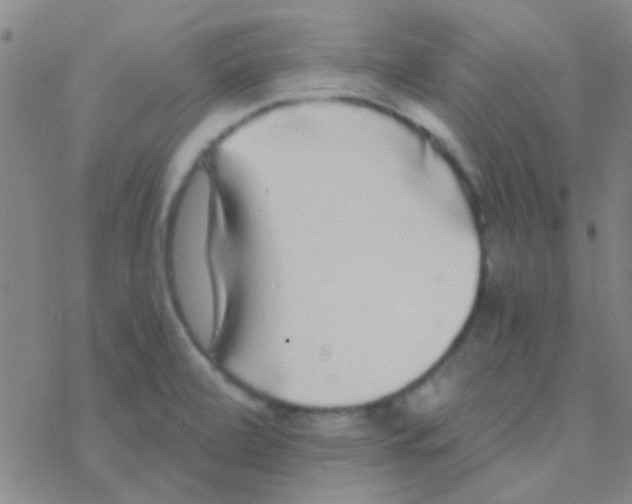 X0000076251472200610261928