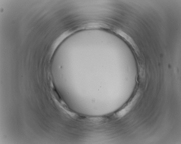 X0000076251473200610261928