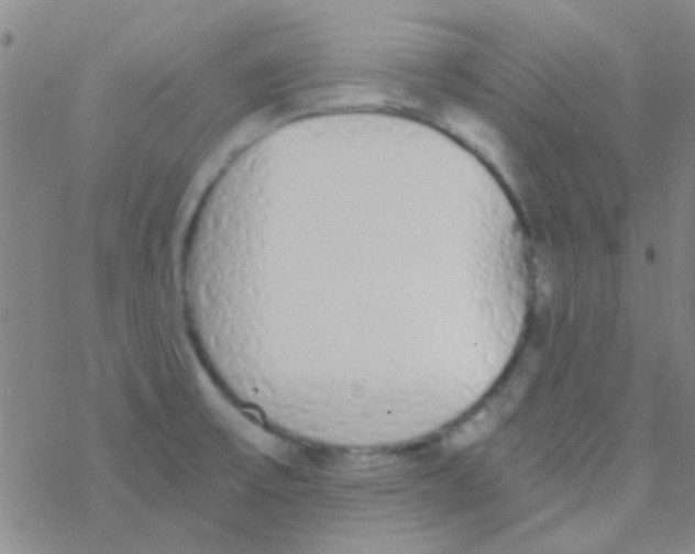 X0000076251475200610261928