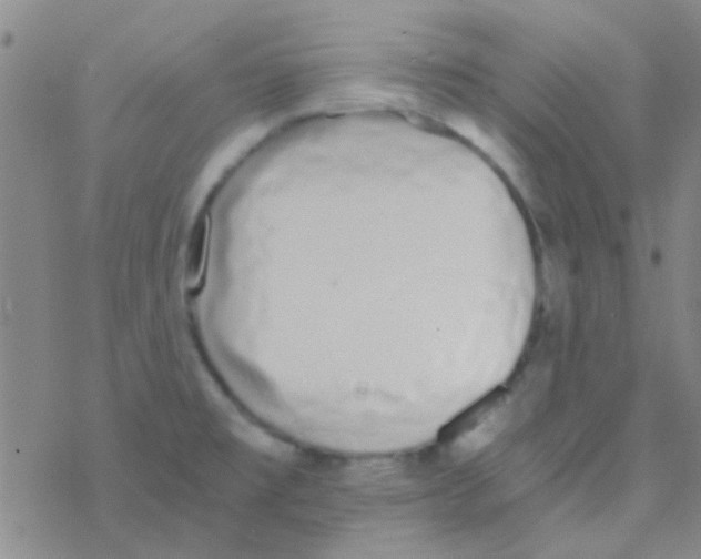 X0000076251477200610261928