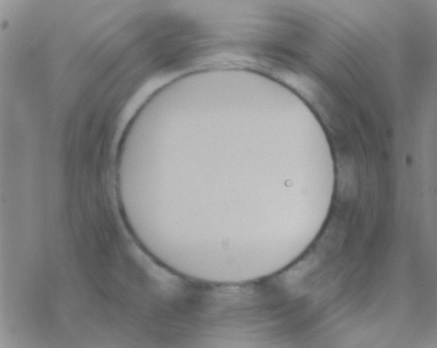 X0000076251478200610261928