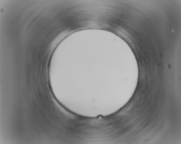 X0000076251479200610261928