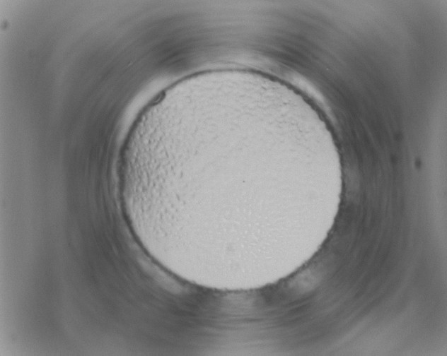 X0000076251480200610261928