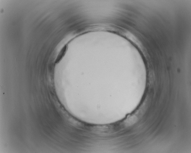 X0000076251481200610261928