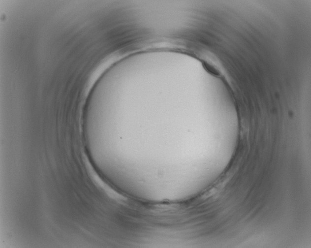 X0000076251483200610261928