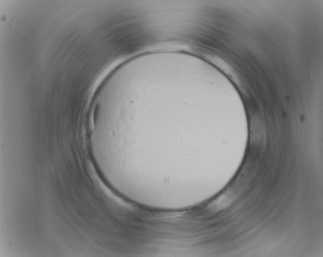 X0000076251484200610261928