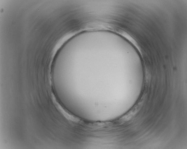 X0000076251485200610261928