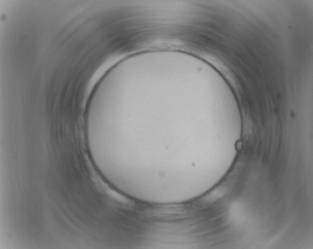 X0000076251486200610261928