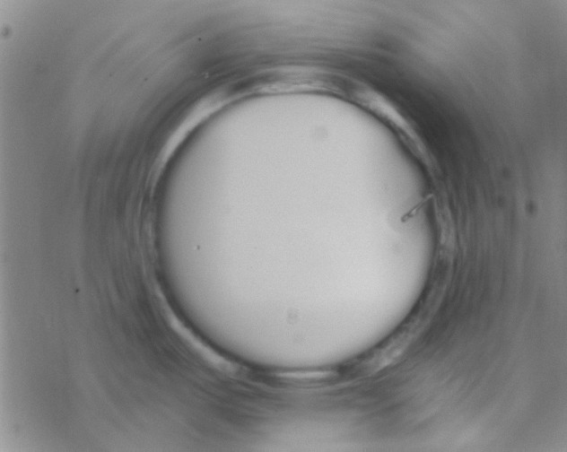 X0000076251487200610261928