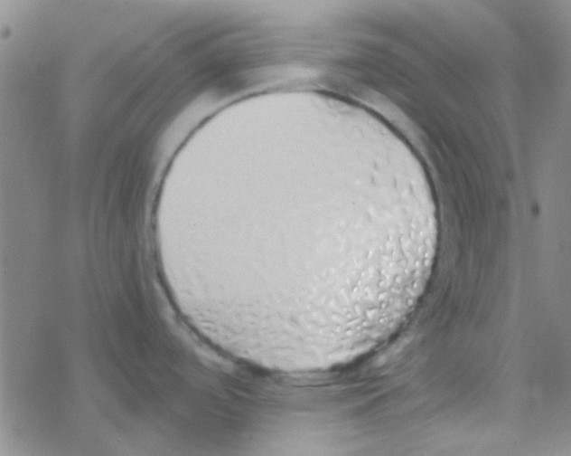 X0000076251488200610261928