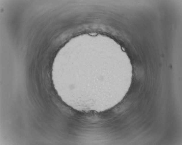 X0000076251489200610261927