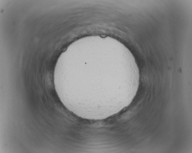 X0000076251490200610261927