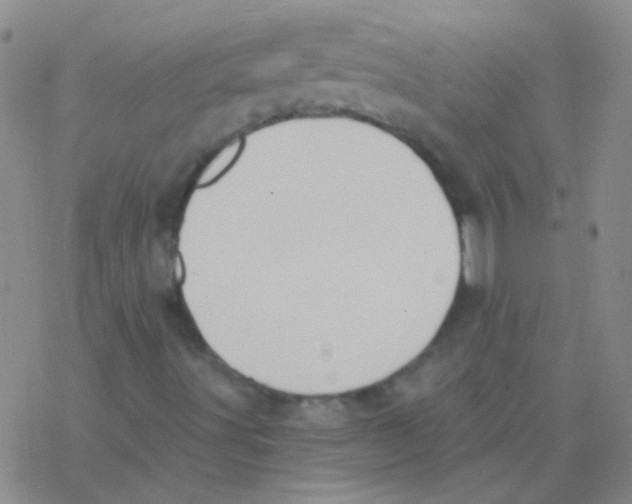 X0000076251491200610261927