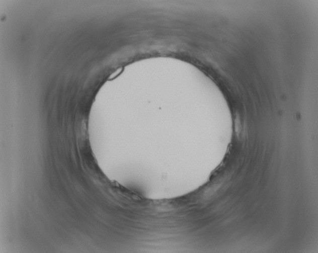 X0000076251492200610261927