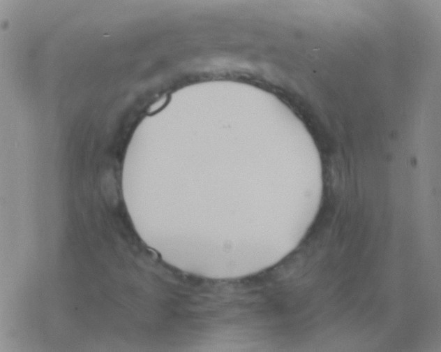 X0000076251493200610261927