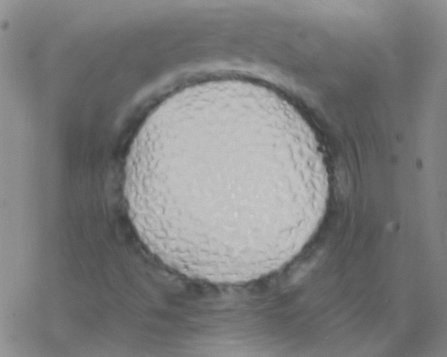 X0000076251494200610261927