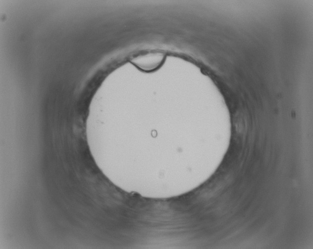 X0000076251495200610261927