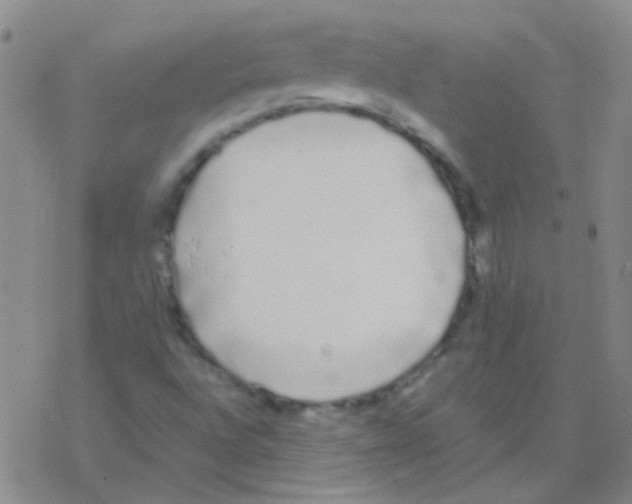 X0000076251496200610261927