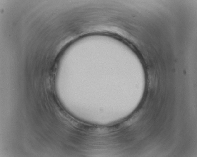 X0000076251497200610261927