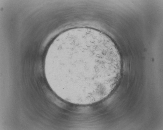 X0000076251498200610261927