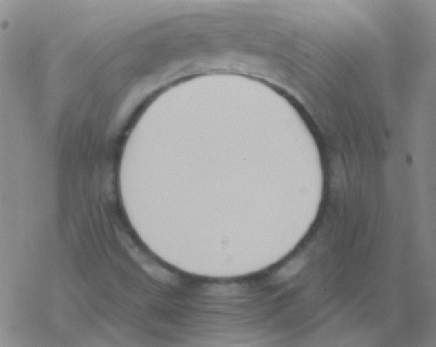 X0000076251499200610261927