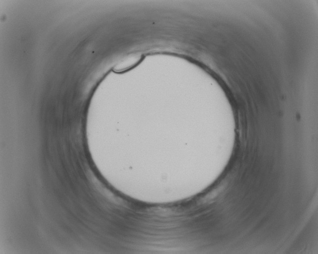 X0000076251500200610261927