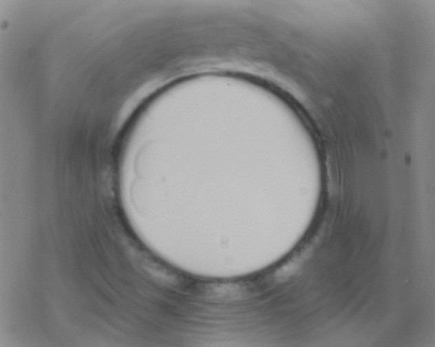 X0000076251501200610261927