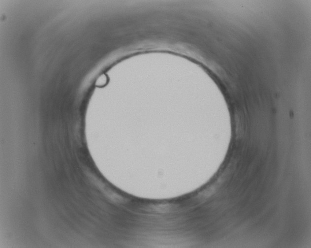 X0000076251502200610261927