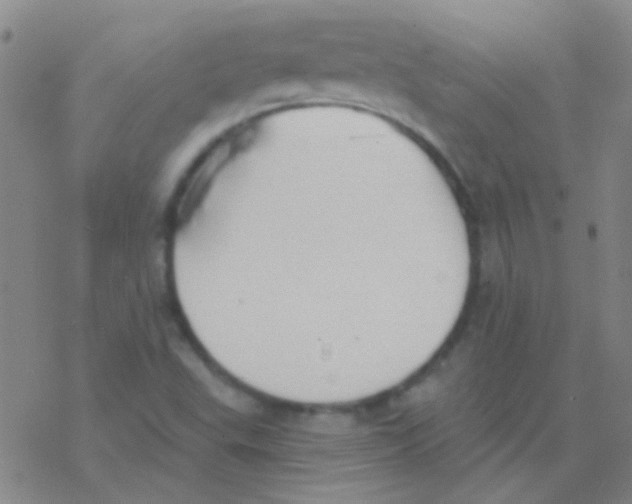 X0000076251503200610261927