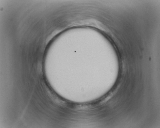 X0000076251505200610261927