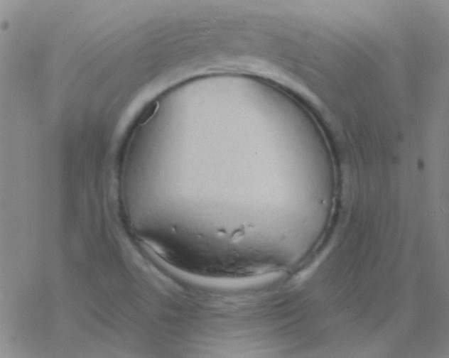 X0000076251506200610261927