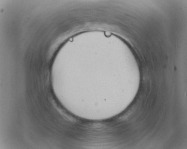 X0000076251507200610261927